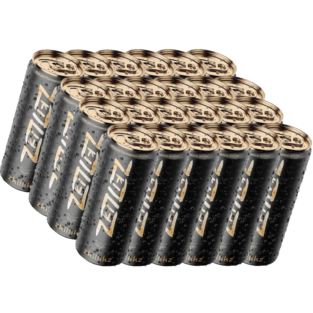 zkillikz – The Performance Drink (VVK) – 24er-Pack